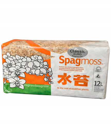 Besgrow Classic Euro Sphagnum samanos 150g 12l iš Naujosios Zelandijos