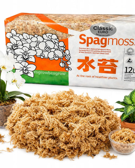 Besgrow Classic Euro Sphagnum samanos 150g 12l iš Naujosios Zelandijos