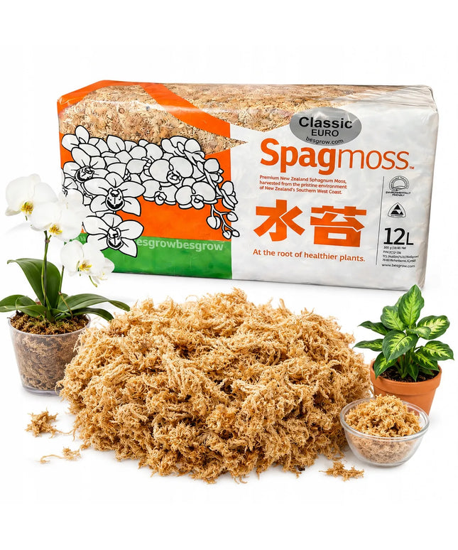 Besgrow Classic Euro Sphagnum samanos 150g 12l iš Naujosios Zelandijos
