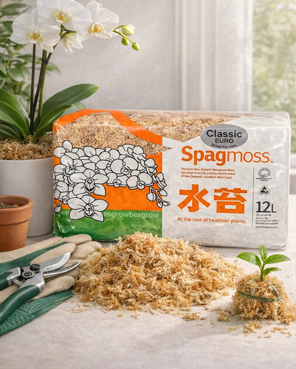 Besgrow Classic Euro Sphagnum samanos 150g 12l iš Naujosios Zelandijos