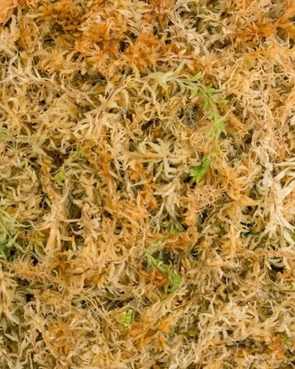 Besgrow Sphagnum samanos Spagmoss 500G 40L | samanos iš Naujosios Zelandijos