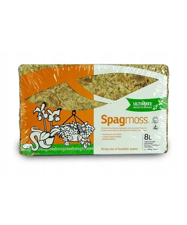 Besgrow Sphagnum samanos Spagmoss Classic 100g 8l augalų priedas