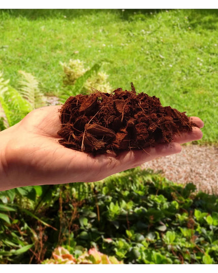 Biovita kokoso drožlės Coco Chips 5l