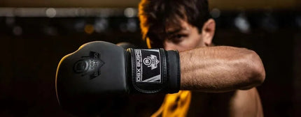 BK bokso pirštinės 14oz - DBX Bushido Black Master - Valor Series