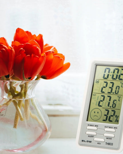 BLOW TH803 skaitmeninė orų stotelė su LCD ekranu, termometru, higrometru ir laikrodžiu