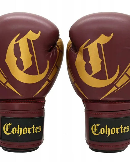Bokso ir kikbokso pirštinės „Cohortes Sericum“, 14 oz