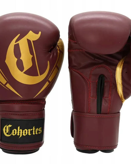 Bokso ir kikbokso pirštinės „Cohortes Sericum“, 14 oz
