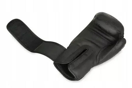 Bokso pirštinės DBX Bushido Black Dragon B-2v18 14 oz