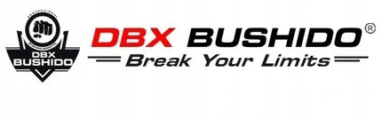 Bokso pirštinės DBX Bushido Black Dragon B-2v18 14 oz