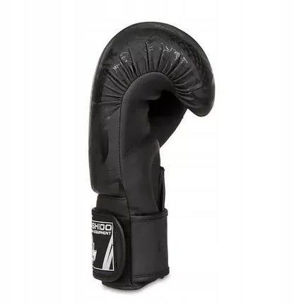Bokso pirštinės DBX Bushido Black Dragon B-2v18 14 oz