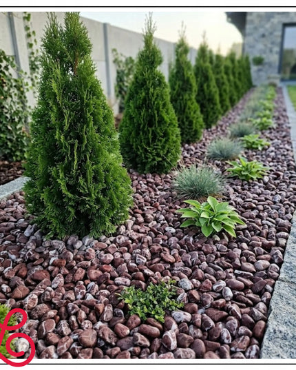 BORDO PRIME dekoraciniai akmenukai sodui 2-4 cm, raudoni, 2 kg