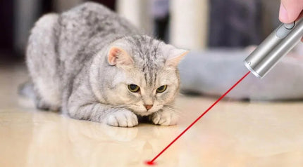 CAT daugiafunkcis LED lazeris ir žibintuvėlis su USB įkrovimu