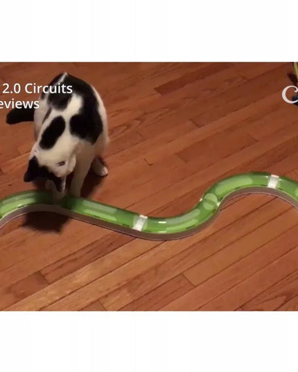 CATIT Senses 2.0 Play Circuit interaktyvi žaislinė trasa su kamuoliuku katėms