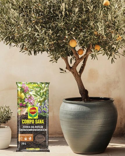 COMPO Viduržemio jūros regiono augalų substratas citrusams, oleandrams ir levandoms, 20L