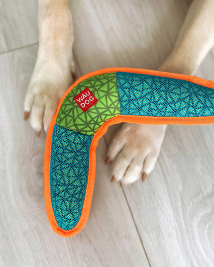 Cypintis ir čežantis žaislas šunims WAUDOG, Bumerangas, mėlynas, 24 cm