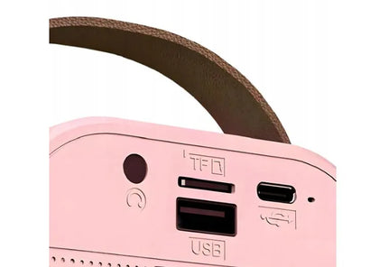 Przydasie.pl nešiojama „Bluetooth“ karaokė kolonėlė su RGB apšvietimu, 2 mikrofonais, „Mini Jack“, USB ir SD