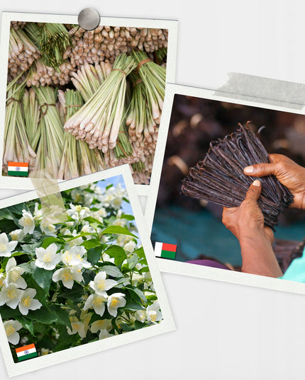 Natūralūs Eteriniai Aliejai Aromaterapijai 12 vnt.