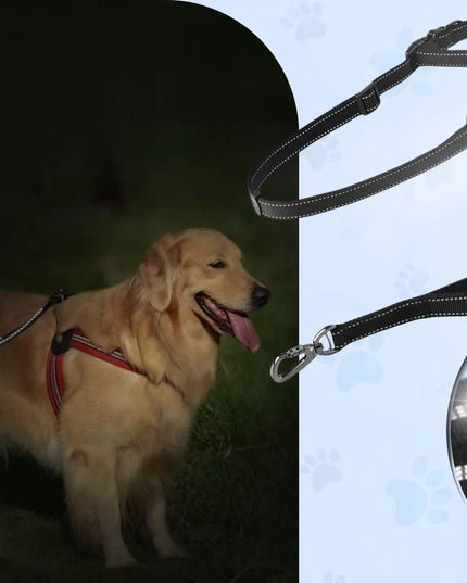 Daugiafunkcis 6-viename šunų pavadėlis bėgimui ir automobiliui, reguliuojamas, atspindintis šviesą