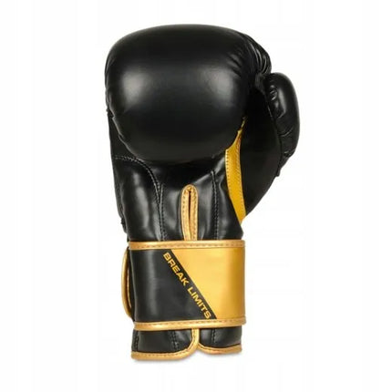 DBX Bushido bokso sparingo pirštinės 14oz