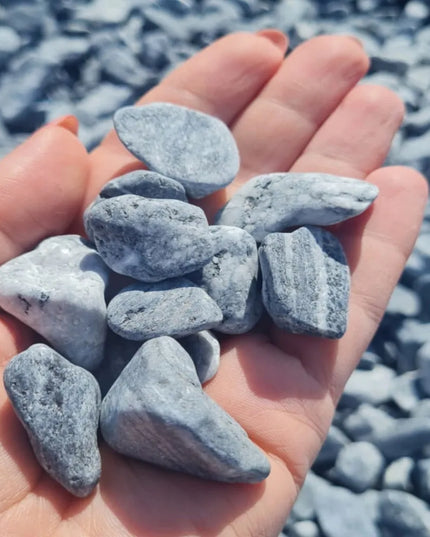 Dekoraciniai sodo ir vazonų akmenukai SILVER pilki 2-4cm 10kg