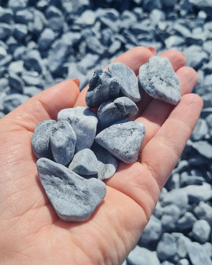 Dekoraciniai sodo ir vazonų akmenukai SILVER pilki 2-4cm 10kg