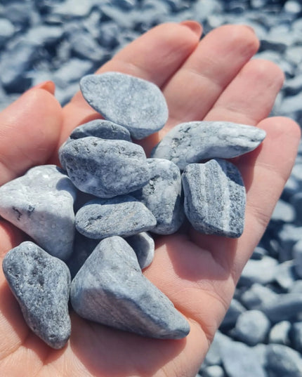 Dekoraciniai sodo ir vazonų akmenukai SILVER pilki 2-4cm 10kg