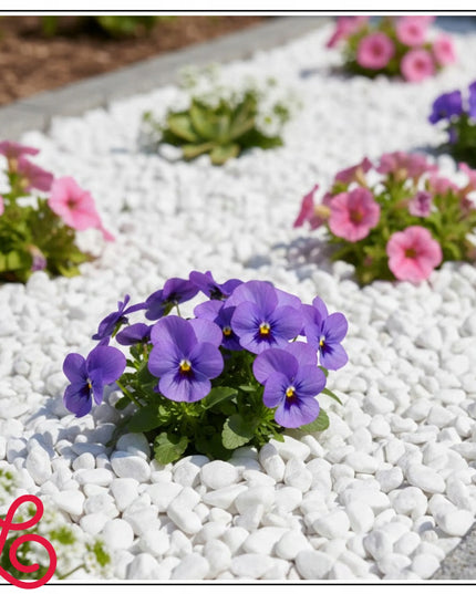Dekoratyvūs balkšvi graikiški sodo akmenukai THASSOS, 1–10 mm, 5 kg