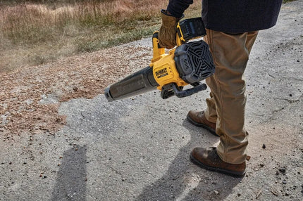 DEWALT galingas akumuliatorinis lapų, žolės ir sniego pūstuvas 18V