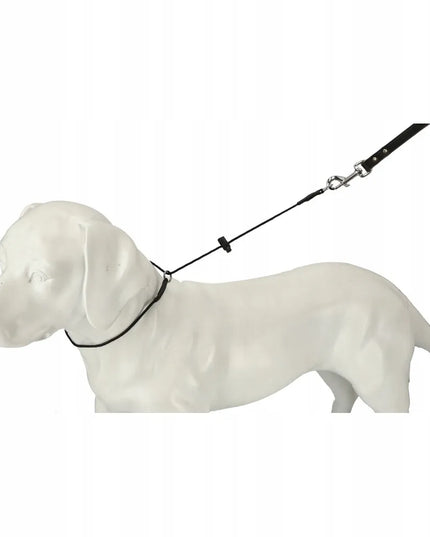 Dingo Gear dresiruojantis smaugiantis antkaklis #3mm, maks. apimtis 50cm