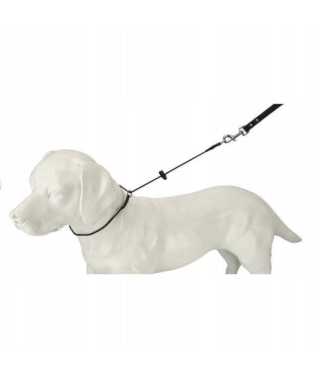 Dingo Gear dresiruojantis smaugiantis antkaklis #3mm, maks. apimtis 50cm