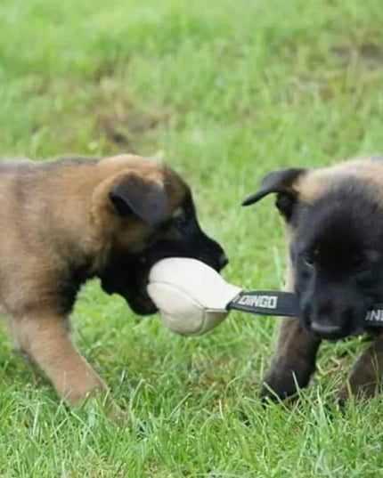 Dingo Gear odiniai kamuoliai su rankena, 8 cm, 2 vnt.