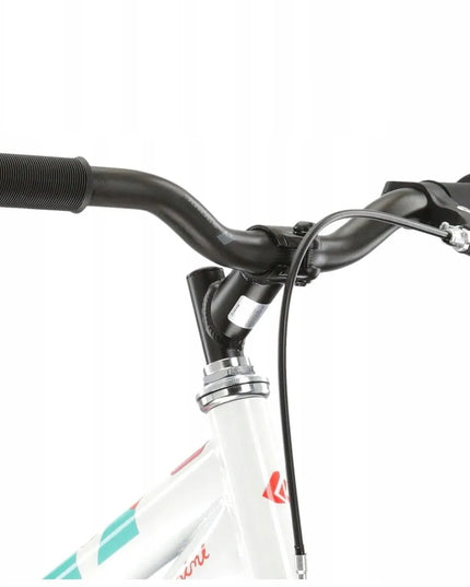 Dviratis Kross Mini 3.0