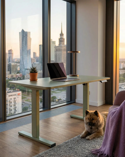 Elektrinis reguliuojamas stalas 100x60 su LCD skydeliu Spacetronik, aukštis 75-110 cm