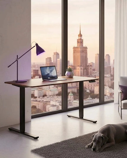 Elektrinis reguliuojamas stalas Spacetronik 160x80, aukštis 73-118 cm