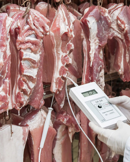 Elektroninis termometras DT34 maisto pramonei HACCP