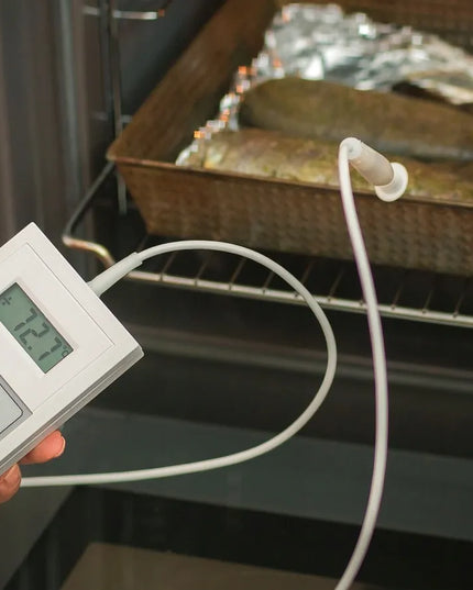 Elektroninis termometras DT34 maisto pramonei HACCP