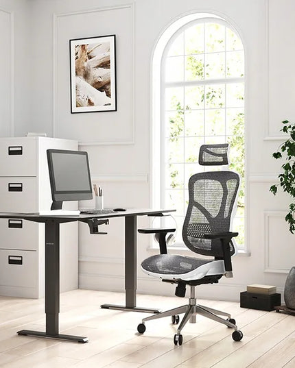 Ergonominė biuro kėdė Diablo V-Basic, balta-pilka