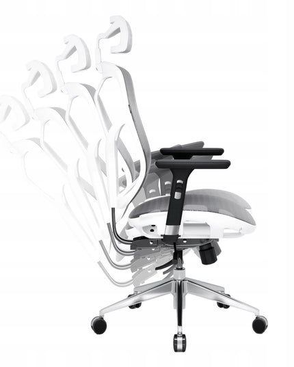 Ergonominė biuro kėdė Diablo V-Basic, balta-pilka