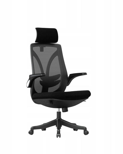 Ergonominė biuro kėdė Spacetronik Arian-10, juoda