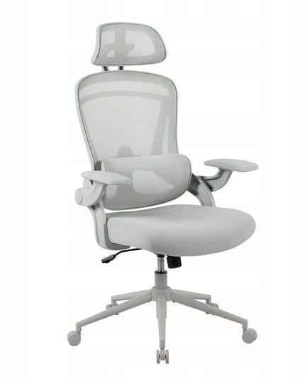 Ergonominė biuro kėdė Spacetronik su reguliavimo funkcijomis, pilka