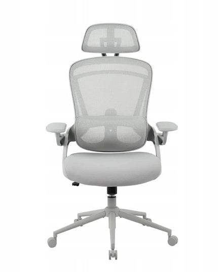 Ergonominė biuro kėdė Spacetronik su reguliavimo funkcijomis, pilka