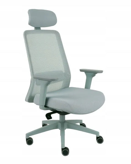 Ergonomiška biuro kėdė Grospol Sven, mėtų spalvos, tinklinė