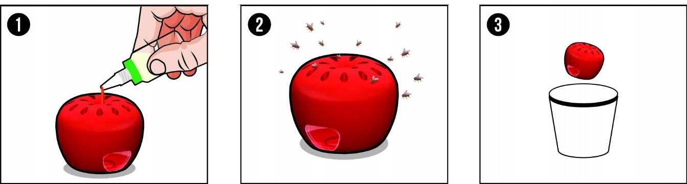 Vaisinių muselių gaudyklė FRUIT FLY TRAP NO PEST + Masalas 15ML (3 vnt.)