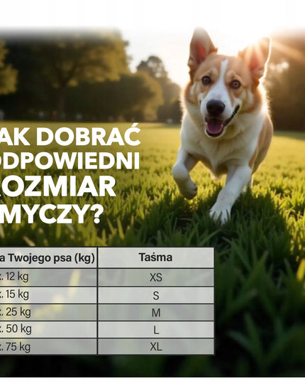 FLEXI automatinis pavadėlis su juostele 8m, Multi Box dėžute ir maišeliais šunims