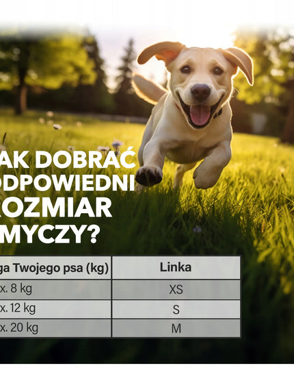 FLEXI automatinis pavadėlis šunims 8m 20kg su Multi Box dėžute