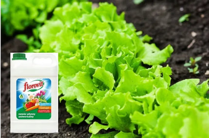 Florovit universalios skystos trąšos daržovėms 5l 5kg