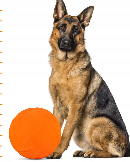 FRISBIS ŠUNIMS – skraidantis diskas aportavimui, 24 cm