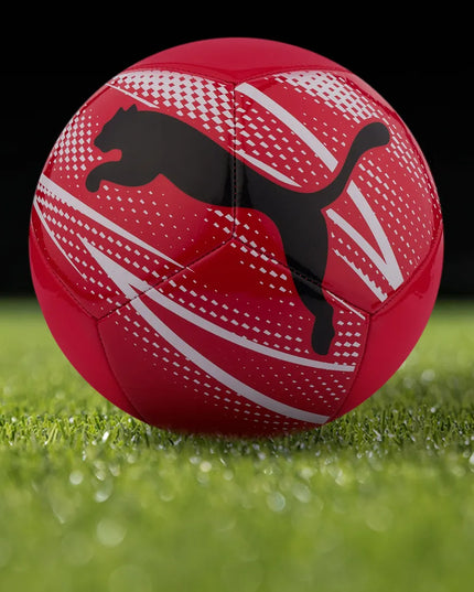Futbolo kamuolys Puma, 5 dydis, treniruočių, su pompa