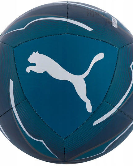 Futbolo kamuolys Puma ACM Icon 5 dydis treniruotėms + pompa