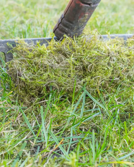Geležies sulfatas 5kg, birus, grynas, be priedų, kibirėlyje su plomba